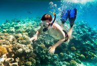 Lặn ngắm san hô trên biển Phú Quốc